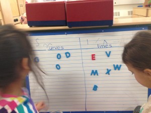 sorting letters by lines and curves