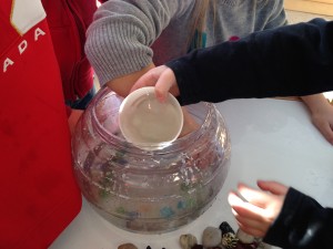 Transferring water in between two bowls...lots of math language happening here!