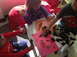 Sorting leaves from our leaf hunt. We noticed the leaves changing outside and wanted to investigate more.