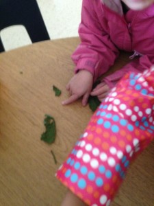 "A caterpillar ate this leaf because it has a hole in it."